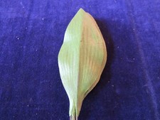 Vintage Millinery Flower Leaf 12pc Bunch 4 3/4" Spring Green B73