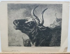 Jules Jacquemart Vintage Etching "Etude De Taureau" 7.5"×10" 1880's