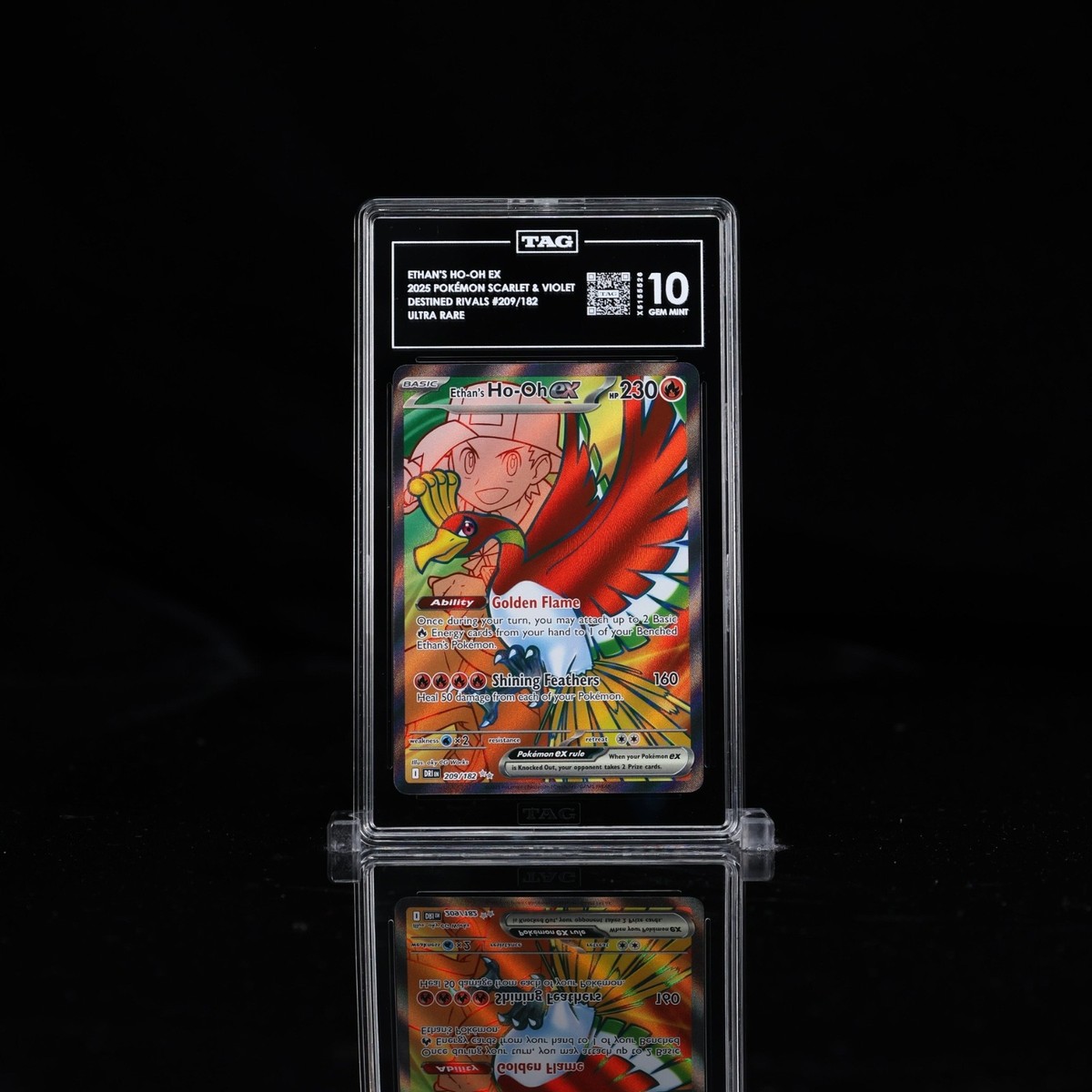 oh!X   1989  8冊 Okidogi ex RR 102/187 SV8a Terastal Fest ex - Pokemon Card