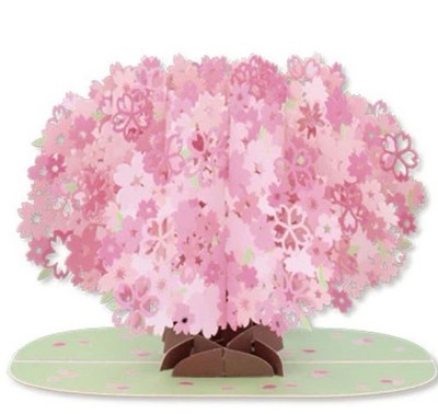 Japanese Sakura Gift Set | 3D Laser Cut Cherry Blossom Card + Stickers