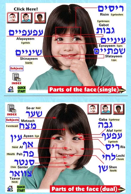 Speaktionary Hebrew Vocabulary Speaking Dictionary - Image 2 of 2