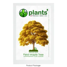 Field Maple Tree | Premium Seeds | Acer campestre 'Fall' | Plants'®