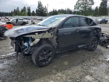 HORNET    2023 Wiper Arm               5789084