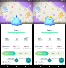 Shiny Ditto wearing a Hat / Cap with Special Back-ground  Tr-de 20k stardust