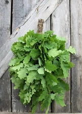 SEASON 2025! SET of 30 OAK SAUNA WHISK FREE SHIPPING venik broom