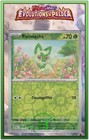 Poussacha Reverse - EV2:Évolutions à Paldea - 013/193 - Carte Pokémon FR Neuve