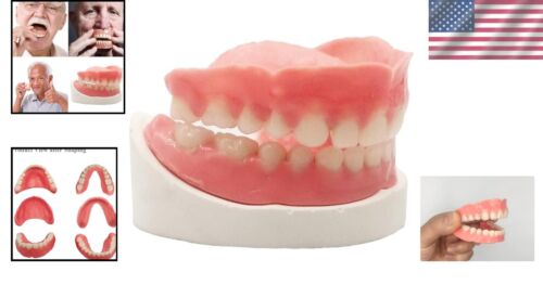 Adjustable DIY Denture Set – Full Fake Teeth & Gypsum Model for Easy Fit - Picture 2 of 8