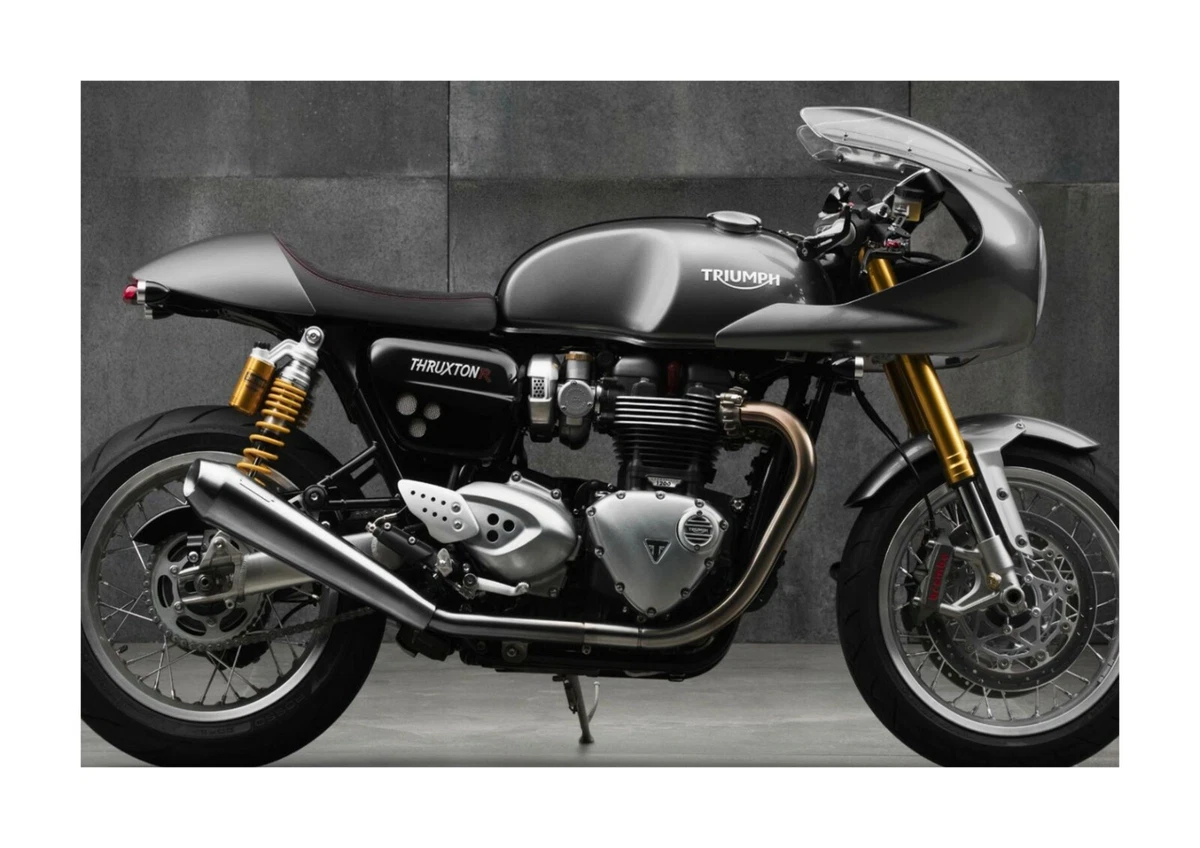 Moto thruxton 2024
