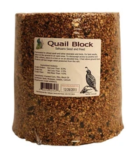 Sahuaro Seed Bird Food Block 15 lb