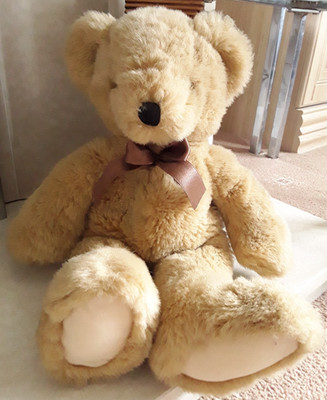 Dan Dee Herz Teddybär