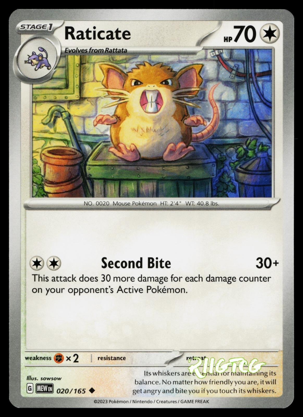 Raticate 020/165 151 Pokemon NM
