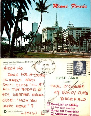 Tree-lined Biscayne Blvd w/hotels & shops Miami FLA Postcards used 53487