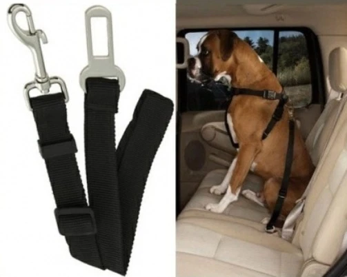 Ebay dog seat belt cheap