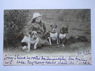 Arten von englischen Schönheit kleines Mädchen & englische Bullen Hunde Vintage Postkarte S26