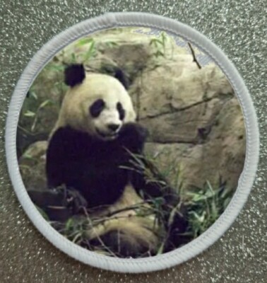 3'' Gefährdete Arten der Riesenpanda Tierwelt Aufbügeln/Aufnähen Patch Abzeichen
