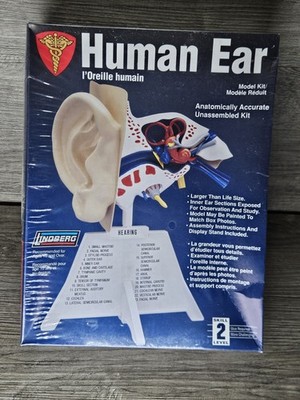Linberd Human Ear Anatomically Accurate Unassembled Kit NIB Sealed