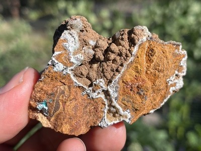 Aurichalcite, Hydrozincite, Hemimorphite Cerro Gordo Mine, Inyo Co., California
