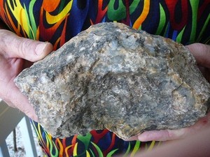 (DF846-11) 5 lb Fossil REAL DINOSAUR POOP Coprolite Dino Valley Utah DUNG Scat | eBay