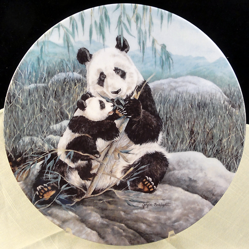 PANDA PLATE 8.5