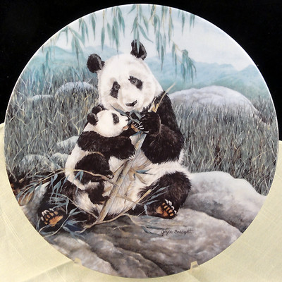 Pandaページ PANDA PLATE 8.5