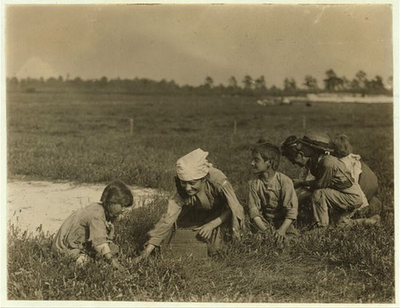 #ad #ad White#x27;s Bog Brown MillsNew JerseyBerry PickersLewis Wickes Hine19103 $12.99