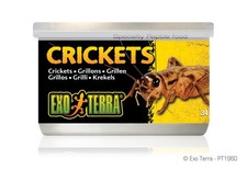 Exo Terra Crickets 1.2 oz