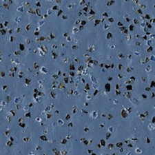 CUT TO SHAPE POLYSAFE VINYL SAFETY FLOORING VW T5/6 SWB/LWB TRANSPORTER-CUSTOM