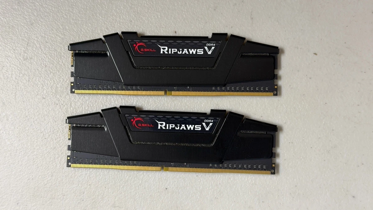G. SKILL PC4-21300 (DDR4-2666) Bus Speed DIMM Computer Memory (RAM