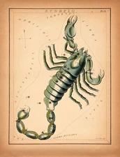 8480.Decoration Poster.Home Room wall interior art design.Scorpio.Horoscope art