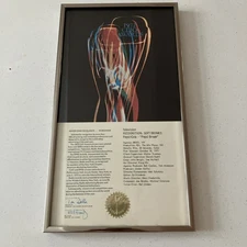 1972 CLIO Awards Television Advertising Pepsi-Cola “Pepsi Break” Framed Award
