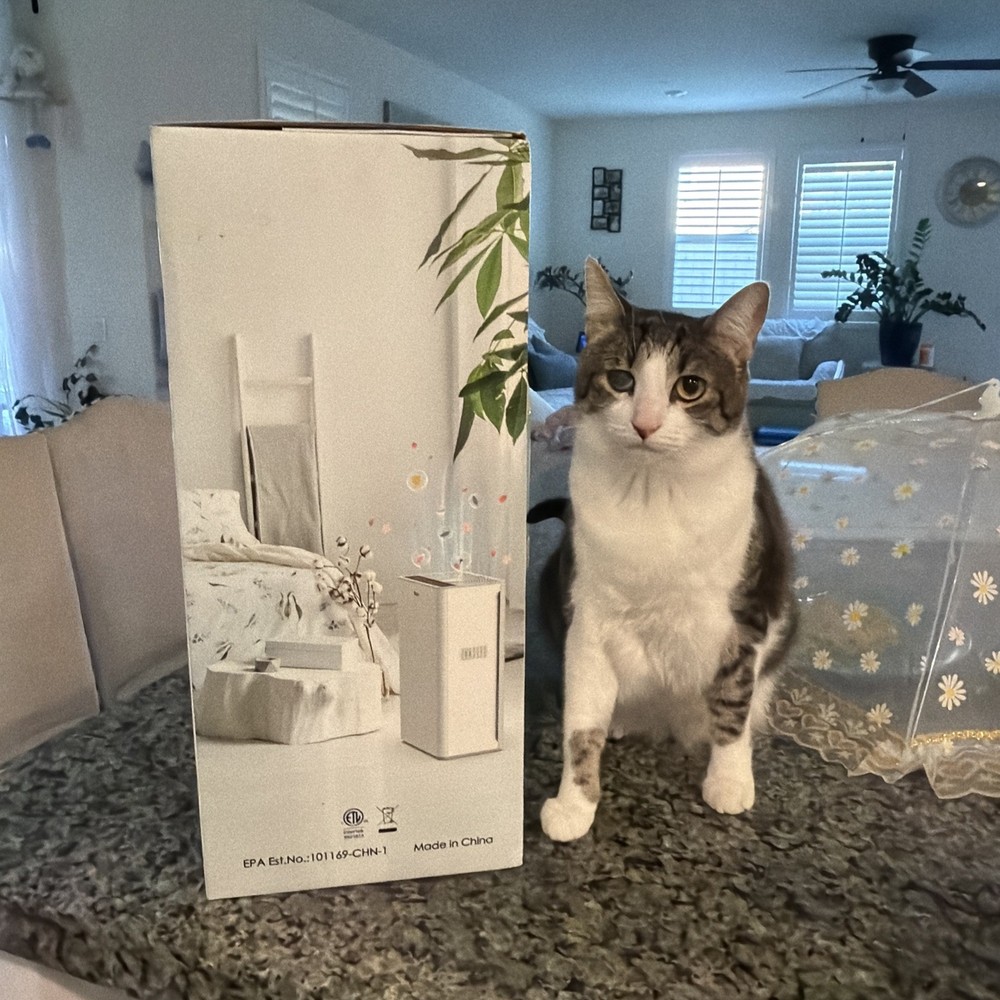 Air Purifier