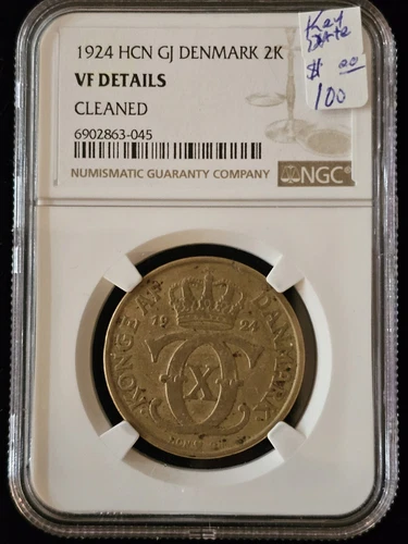 1924 HCN GJ DENMARK KRONER NGC VF- DETAILS (KEY DATE)