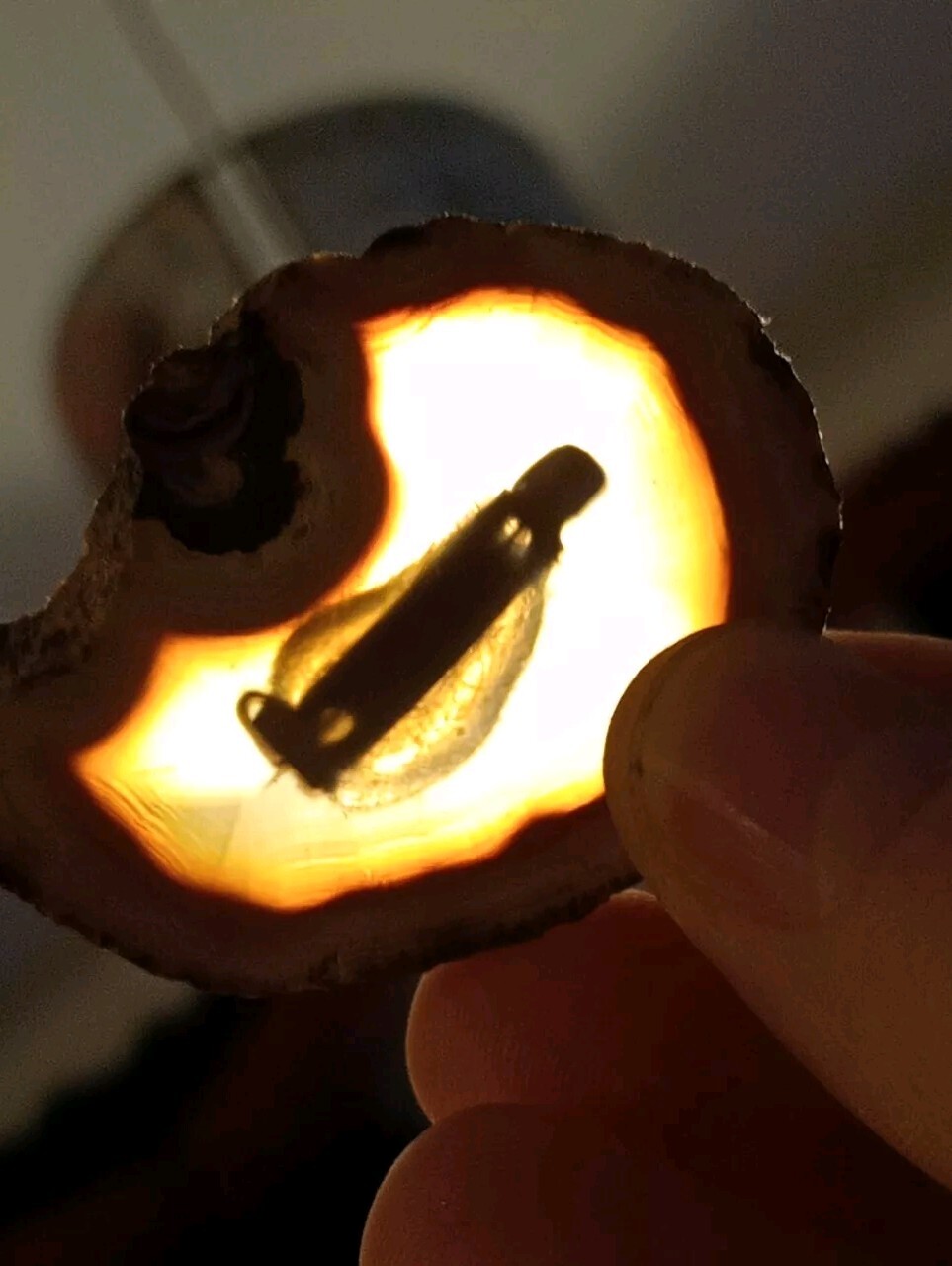 Tree Agate Brown Translucent Brooch (N) - image 4