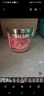 Kolonialkerze Pfingstrose Blütenblatt 14,5 oz rosa 3 Docht