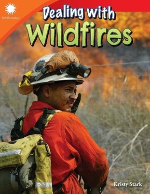 Kristy Stark Dealing with Wildfires (Taschenbuch)