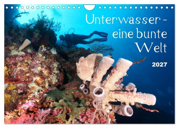 Calendar 2027 · US Version · Underwater - A Colorful World (Wall Calendar 2027 1-image
