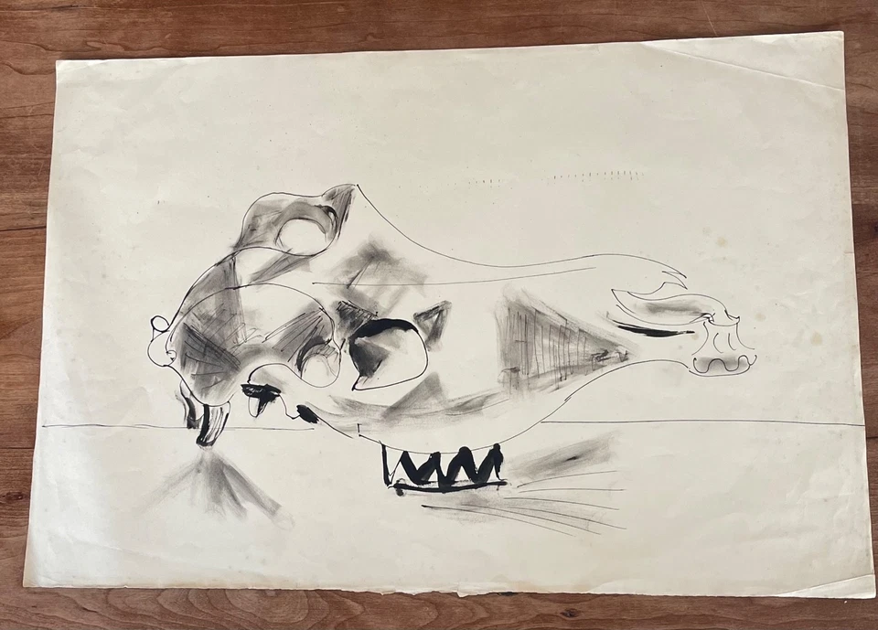 Glyn Morgan (1926-2015) “Sheep Skull” ink and wash c1950 — 第 2/4 张图片