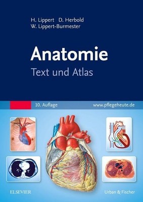 Anatomie Herbert Lippert