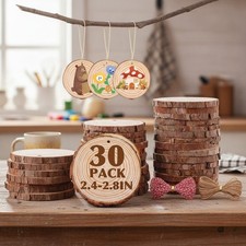 30 Pack Wood Slices for Crafts 2.4-2.8 Inch Natural Pine Wood Circles with Ba...