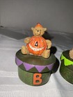 Bild 6 von 15