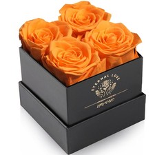 Preserved Rose,Gifts for Her, Birthday Gifts for Women, Gifts for Mom/Girlfriend