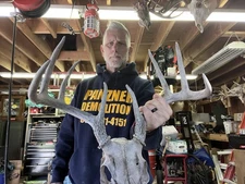 Whitetail Deer Antler Rack Dead Head Mount Taxidermy Cabin Decor