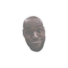 Lebron James Funny Meme Sticker
