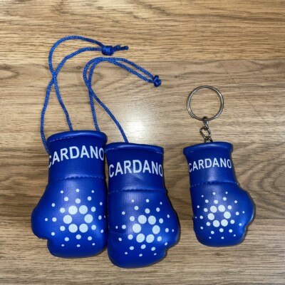 Cardano ADA Auto Mini Boxhandschuhe & Schlüsselanhänger Zubehör Kryptowährung KONVOLUT