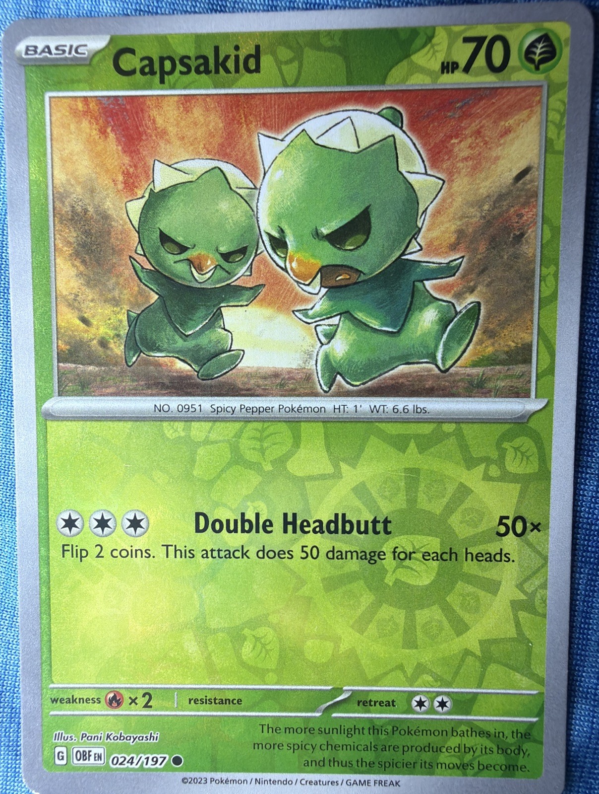 #24 Capsakid 2023 Obsidian Flames - Reverse Holo