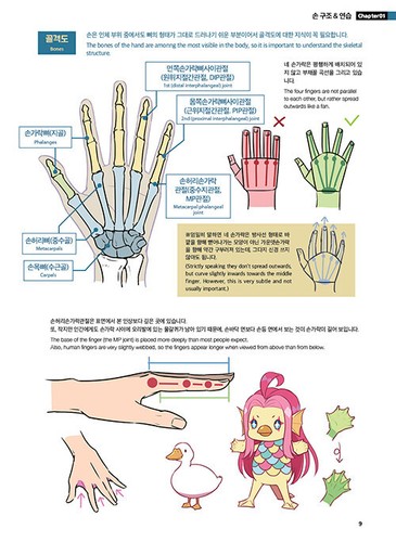 Hand Pose Sketch Collection - Korean Edition 손 포즈 스케치 컬렉션 - Picture 4 of 11