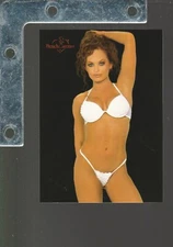 2004 Benchwarmer Series 1&2 SP PICK FROM LIST Up to 40% OFF! Playboy Playmate