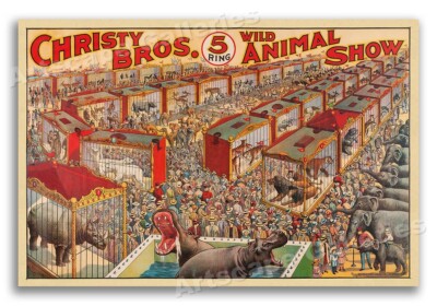 1920s Christy Brothers 5 Ring Wild Animal Show Vintage Circus Poster - 16x24
