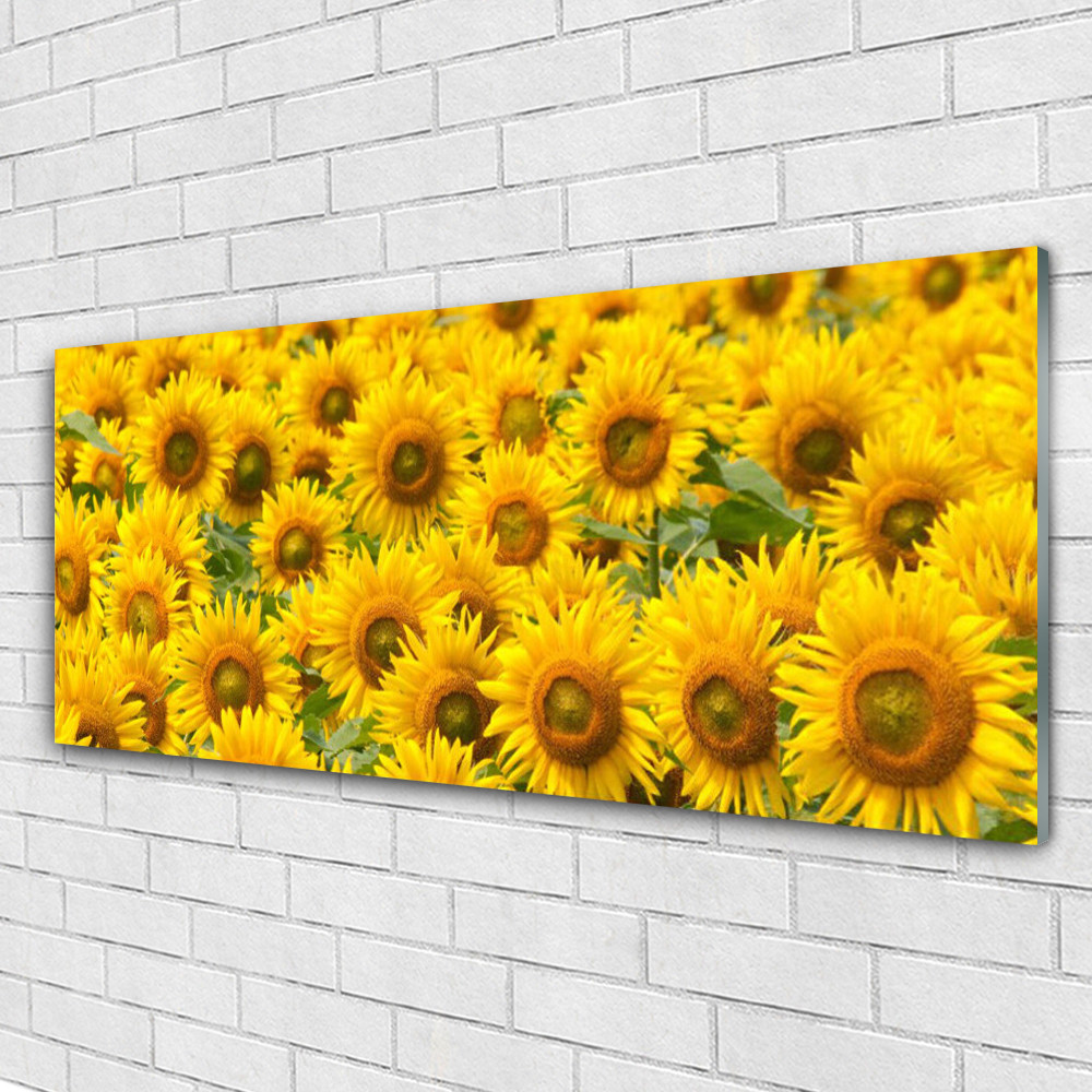 Tableau tournesol 125x50 cm en verre acrylique pour illuminer votre salon