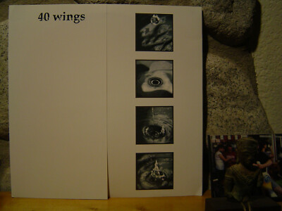 v/a 40 WINGS LP/1996 GER./Dark Industrial/Nightmare Lodge/Hybryds/Ah Cama Sotz..